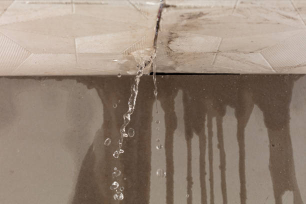 Professional Structural Drying technician working in Dana, IA